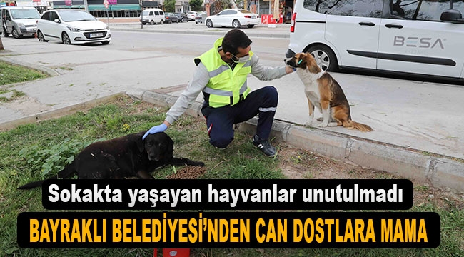 Bayraklı Belediyesi'nden can dostlara su ve mama