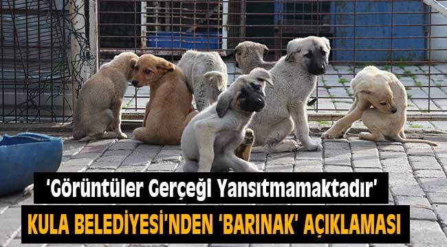 Kula Belediyesi: Hayvan Barınağı İle İlgili Görüntüler Gerçeği Yansıtmamaktadır