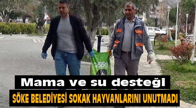 Söke Belediyesi sokak hayvanlarını unutmadı