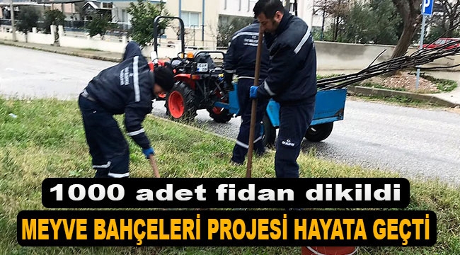 Tire'de meyve bahçeleri projesi hayata geçti