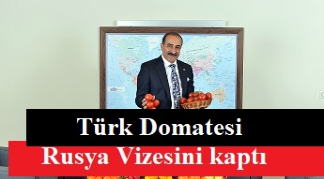 Türk domatesi Rusya vizesini kaptı