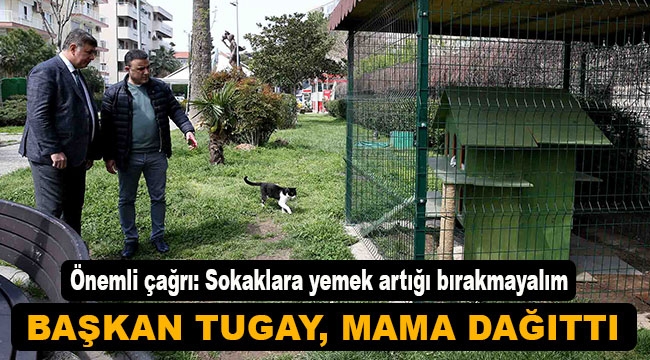 Başkan Tugay sokak hayvanlarına mama dağıttı