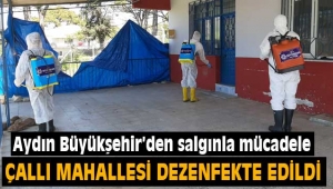 Büyükşehir Belediyesi koronavirüs görülen Çallı'da dezenfeksiyon çalışması yaptı