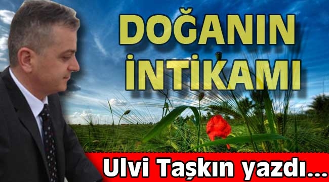 DOĞA'NIN İNTİKAMI