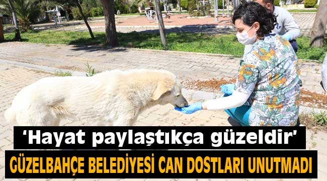 Güzelbahçe Belediyesi Can Dostları Unutmadı