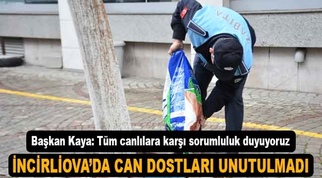 İncirliova'da belediye "can dostlar" için mama bırakıyor