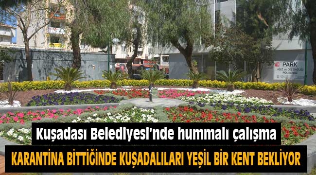 Karantina bittiğinde Kuşadalıları yeşil bir doğa bekliyor 