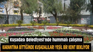 Karantina bittiğinde Kuşadalıları yeşil bir doğa bekliyor 