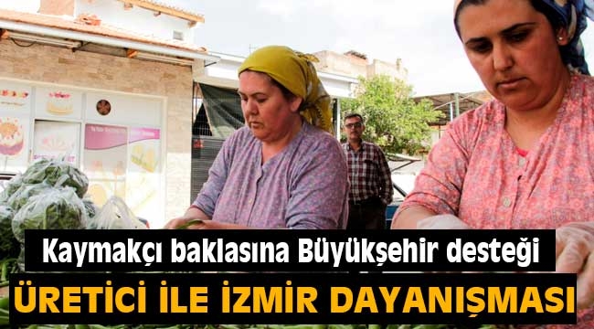 Kaymakçı baklasına Büyükşehir desteği