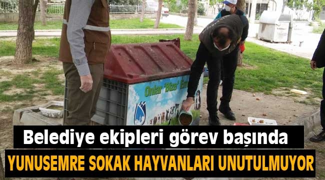 Yunusemre sokak hayvanlarını unutmuyor