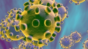 2'nci dalgayı yaşayabiliriz