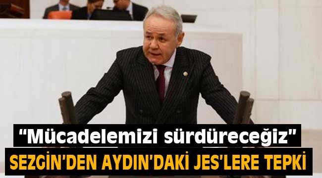 Aydın Adnan Sezgin'den JES tepkisi