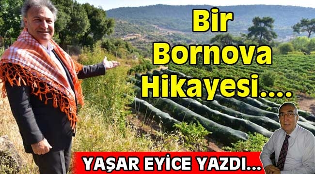 Bir Bornova Hikayesi....