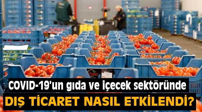 COVID-19 gıda ve içecek sektöründe dış ticareti nasıl etkiledi?