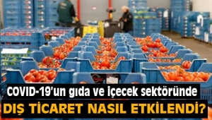 COVID-19 gıda ve içecek sektöründe dış ticareti nasıl etkiledi?