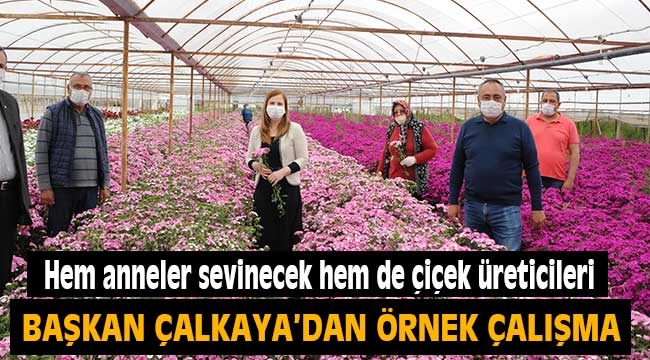 Hem anneler sevinecek hem de çiçek üreticileri