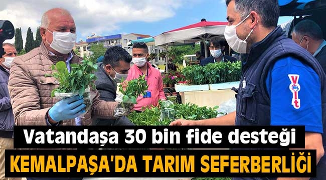 Kemalpaşa Belediyesi'nden vatandaşa 30 bin fide desteği