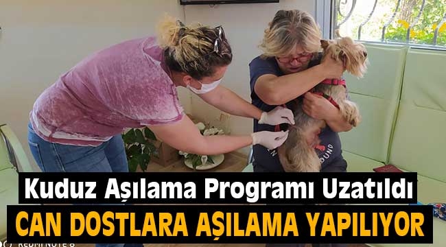 Kuduz Aşılama Programı Uzatıldı