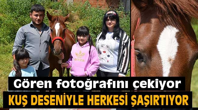  Kuş deseni ile herkesi şaşırtıyor !