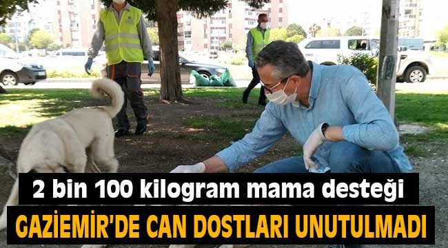 Salgında can dostlar unutulmadı: 2 bin 100 kilogram mama desteği