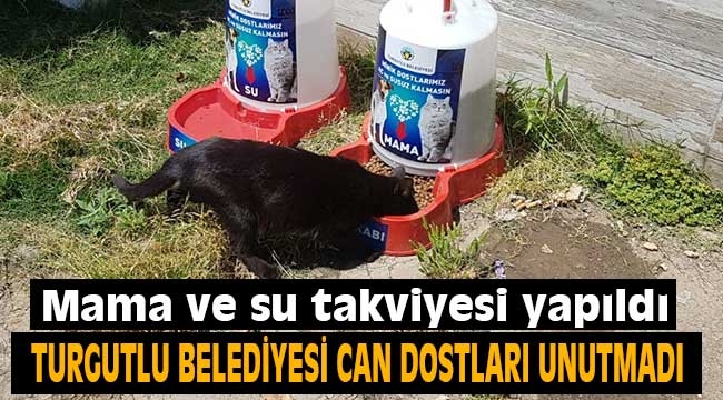 Turgutlu Belediyesi Can Dostları Unutmadı