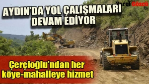 Aydın'da yol çalışmaları devam ediyor