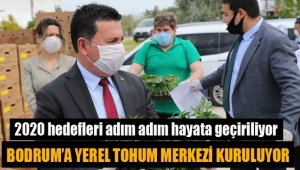 Bodrum'a yerel tohum merkezi kuruluyor
