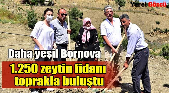 Daha yeşil Bornova