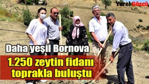 Daha yeşil Bornova
