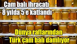 Dünya raflarından Türk çam balı damlıyor