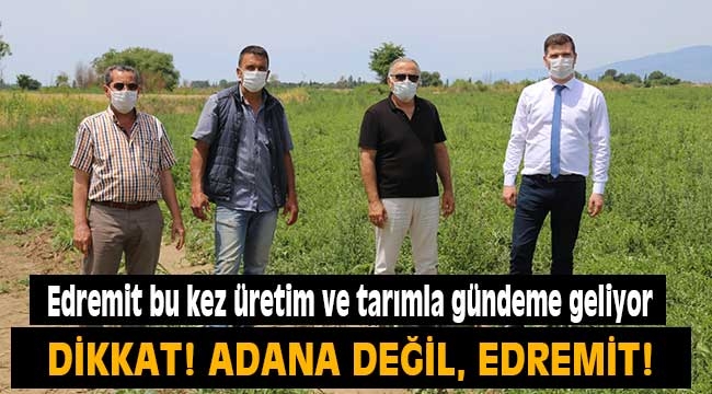 Edremit bu kez üretim ve tarımla gündeme geliyor