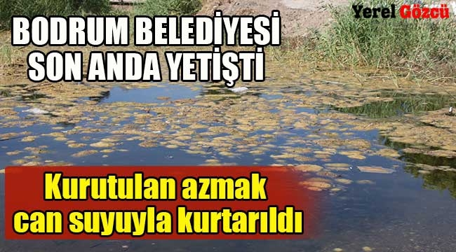 Kurutulan azmak can suyuyla kurtarıldı