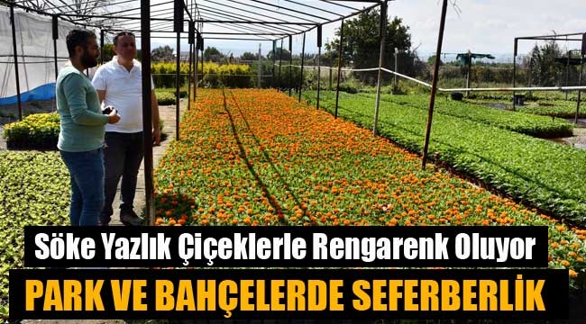 Söke Yazlık Çiçeklerle Rengarenk Oluyor