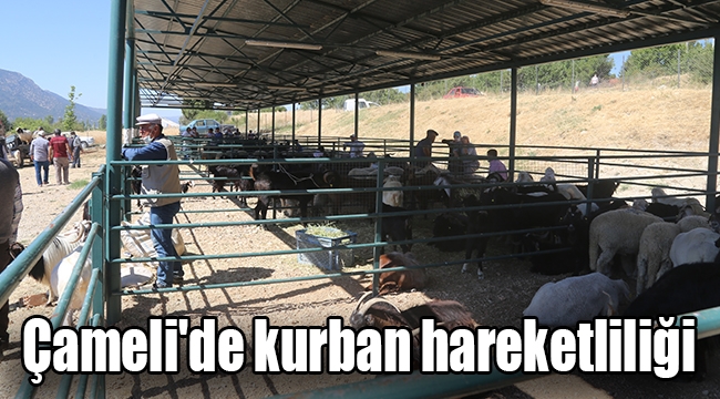 Çameli'de kurban hareketliliği