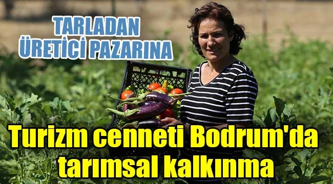 Turizm cenneti Bodrum'da tarımsal kalkınma