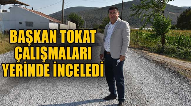 Başkan Tokat çalışmaları yerinde inceledi