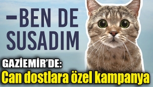 Can dostlara özel kampanya: Benim de karnım aç, ben de susadım