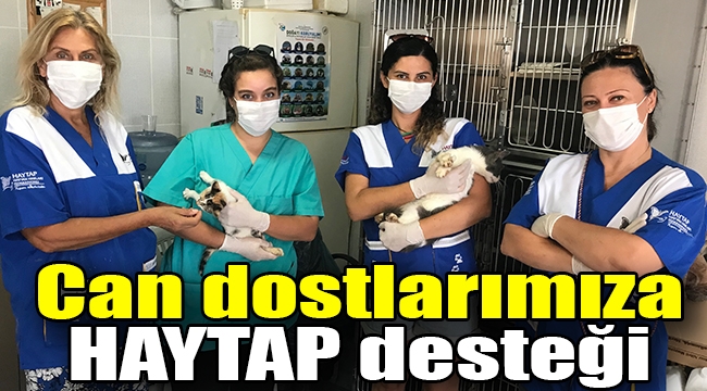 Can dostlarımıza HAYTAP desteği 