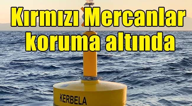 Kırmızı Mercanlar koruma altında