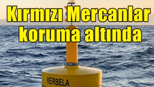Kırmızı Mercanlar koruma altında