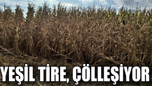 Yeşil Tire çölleşiyor