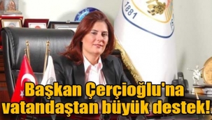 Başkan Özlem Çerçioğlu'na destek!
