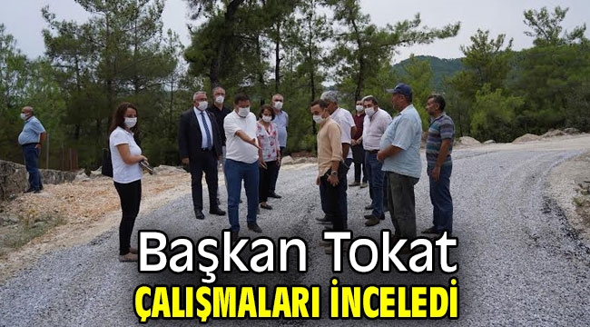 Başkan Tokat çalışmaları inceledi