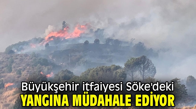 Büyükşehir itfaiyesi Söke'deki yangına müdahale ediyor