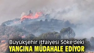 Büyükşehir itfaiyesi Söke'deki yangına müdahale ediyor