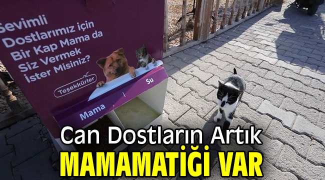 Can Dostların Artık Mamamatiği Var