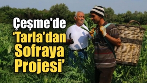 Çeşme'de 'Tarla'dan Sofraya Projesi'
