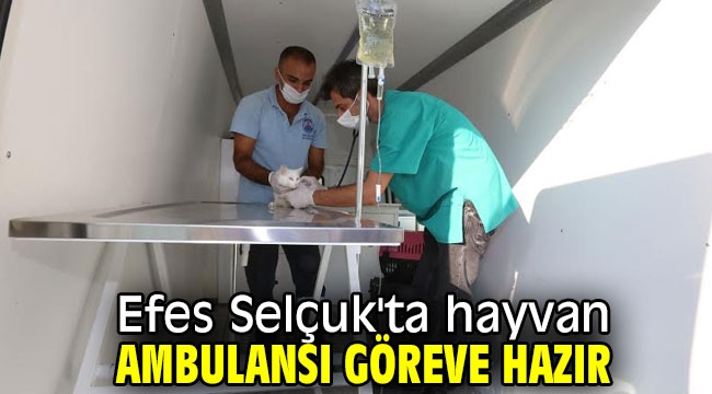 Efes Selçuk'ta hayvan ambulansı göreve hazır