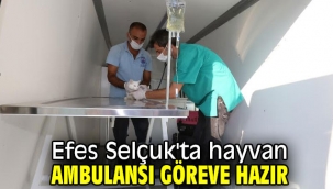 Efes Selçuk'ta hayvan ambulansı göreve hazır