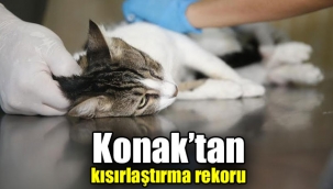 Konak'ta Hayvanseverler ve belediye omuz omuza